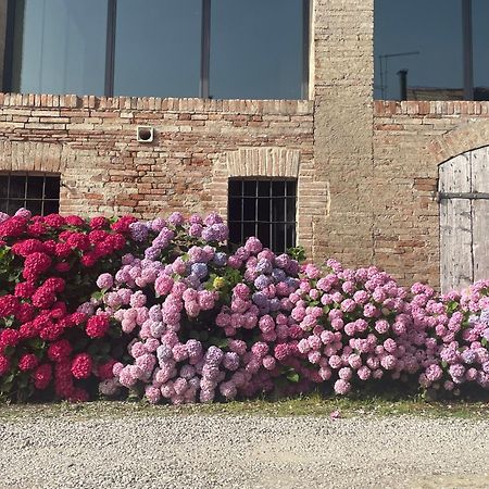 B&B Il Conte Giacomo Viarolo Esterno foto