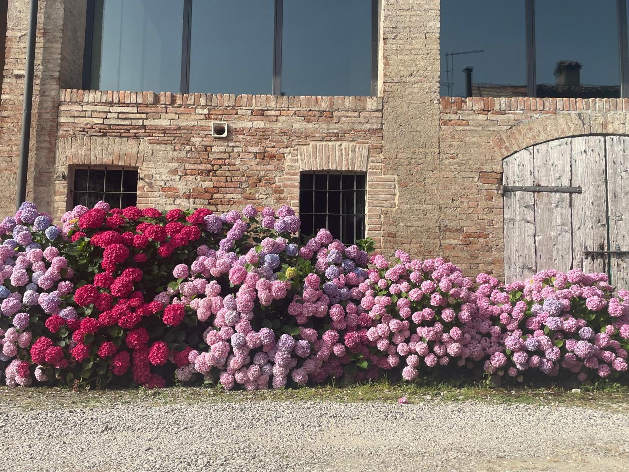 B&B Il Conte Giacomo Viarolo Esterno foto
